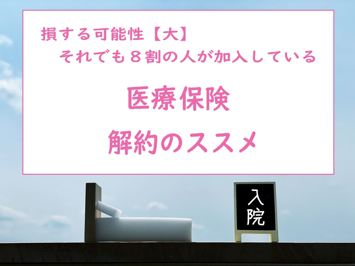 損する可能性大 ８割の人が加入 医療保険解約のススメ 生活を変えず年間１００万円貯蓄が増える ウシの家計簿主婦ブログー