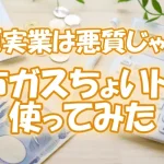【河原実業は悪質じゃない】都市ガスちょいトク１使ってみた