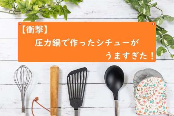 【衝撃】圧力鍋で作ったシチューがうますぎた