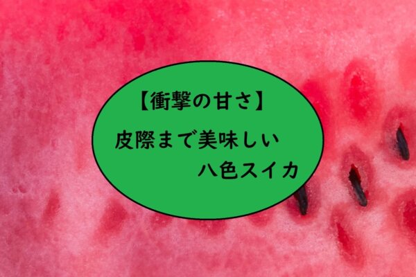 【衝撃の甘さ】皮際まで美味しい八色スイカ