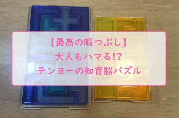 【最高の暇つぶし】大人もハマる!?テンヨーの知育脳パズル