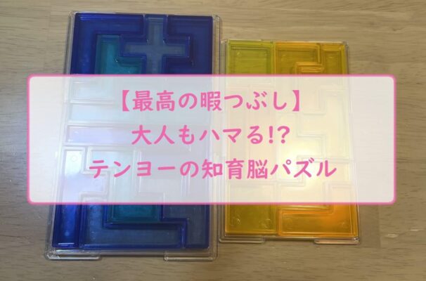 【最高の暇つぶし】大人もハマる!?テンヨーの知育脳パズル
