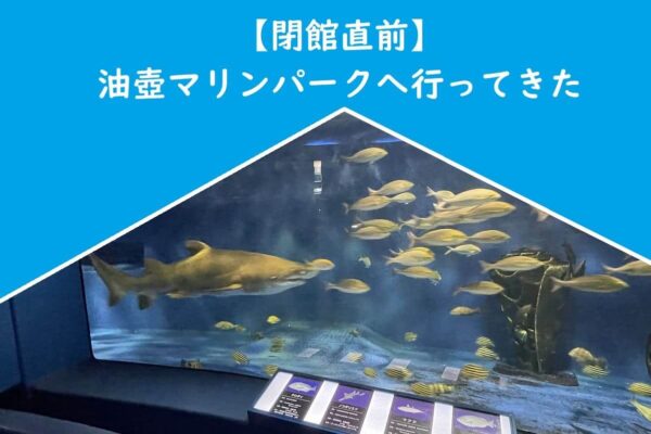 【閉館直前】油壺マリンパークへ行ってきた