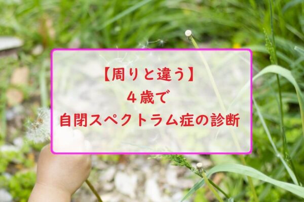 【周りと違う】４歳で自閉スペクトラム症の診断