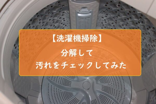 【洗濯機掃除】分解して汚れをチェックしてみた
