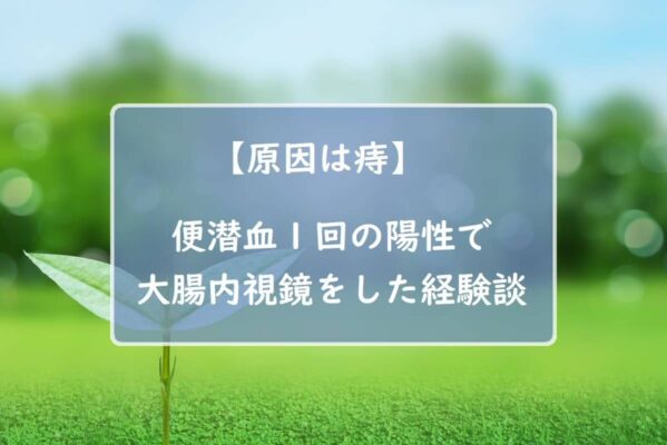 【原因は痔】便潜血１回の陽性で大腸内視鏡をした経験談