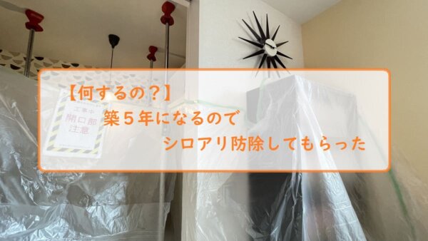 【何するの？】築５年になるのでシロアリ防除してもらった