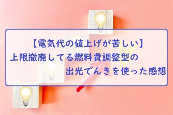 【電気代の値上げが苦しい】上限撤廃してる燃料費調整型の出光でんきを使った感想