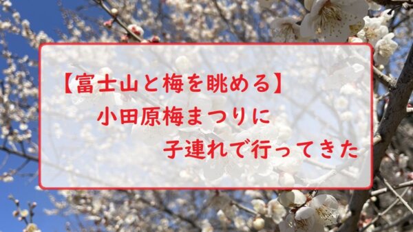 【富士山と梅を眺める】小田原梅まつりに子連れで行ってきた