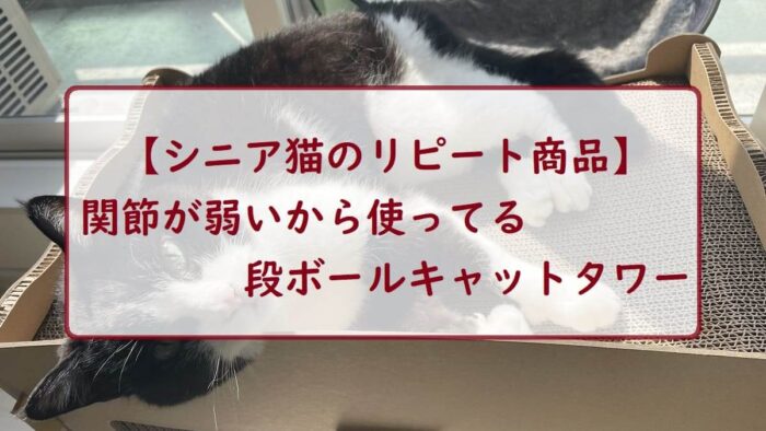 【シニア猫のリピート商品】関節が弱いから使ってる段ボールキャットタワー