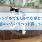 【シンプルでおしゃれな爪とぎ】猫壱のバリバリベッド買ってみた