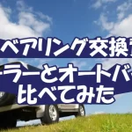 【ハブベアリング交換費用】ディーラーとオートバックス比べてみた