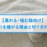 【暴れる・噛む猫向け】爪切りを嫌がる理由と切り方のコツ