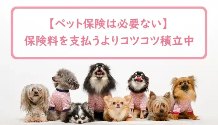 【ペット保険はいらない】保険料を支払うよりコツコツ積立してます