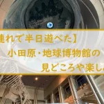 【子連れで半日遊べた】小田原・地球博物館の見どころや楽しみ方