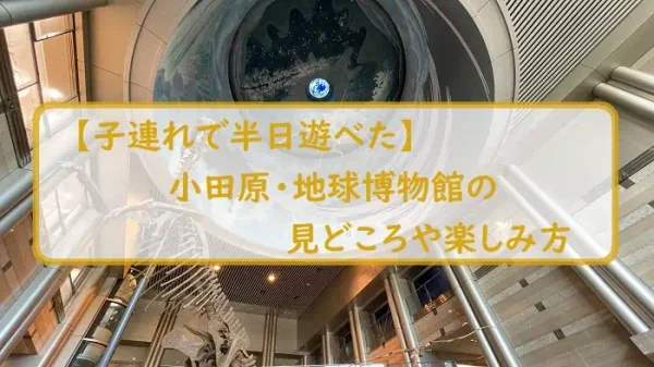 【子連れで半日遊べた】小田原・地球博物館の見どころや楽しみ方