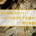 【岐阜県の観光スポット】マイクラ好きな子を連れて関ケ原鍾乳洞へ