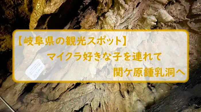 【岐阜県の観光スポット】マイクラ好きな子を連れて関ケ原鍾乳洞へ