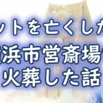 【ペットを亡くしたら】横浜市営斎場で火葬した話