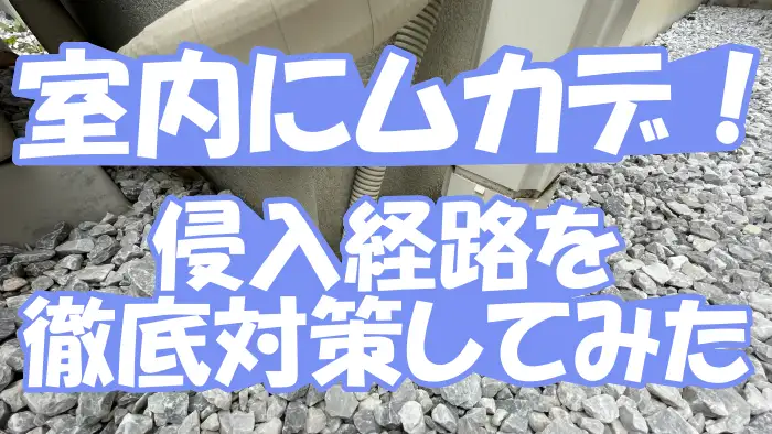 室内にムカデ！侵入経路を徹底対策してみた